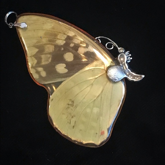 Sterling Silver Butterfly Wing incased in Resin Pendant (7 cm Total Length) - Picture 9 of 17